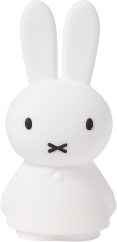 Mr Maria Nijntje Veilleuse brillante