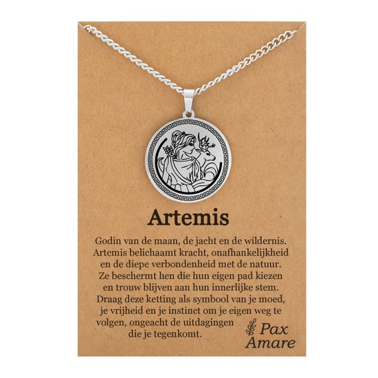 Zilverkleurige Artemis Ketting Met Cadeaukaartje