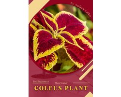 Coleus Plant