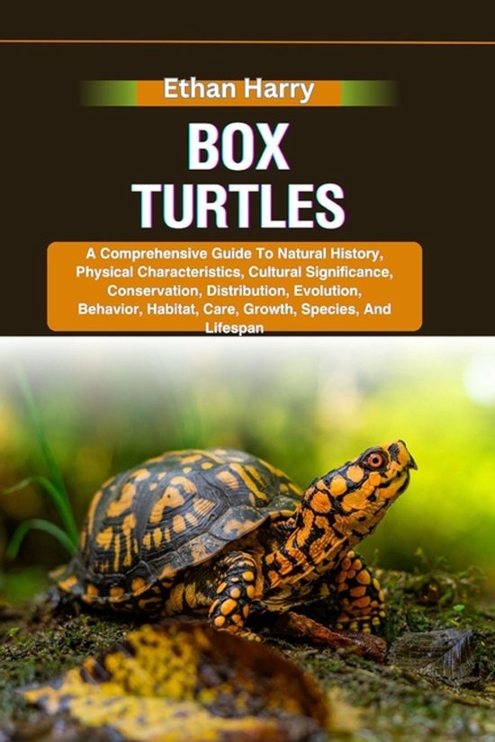 Box Turtles