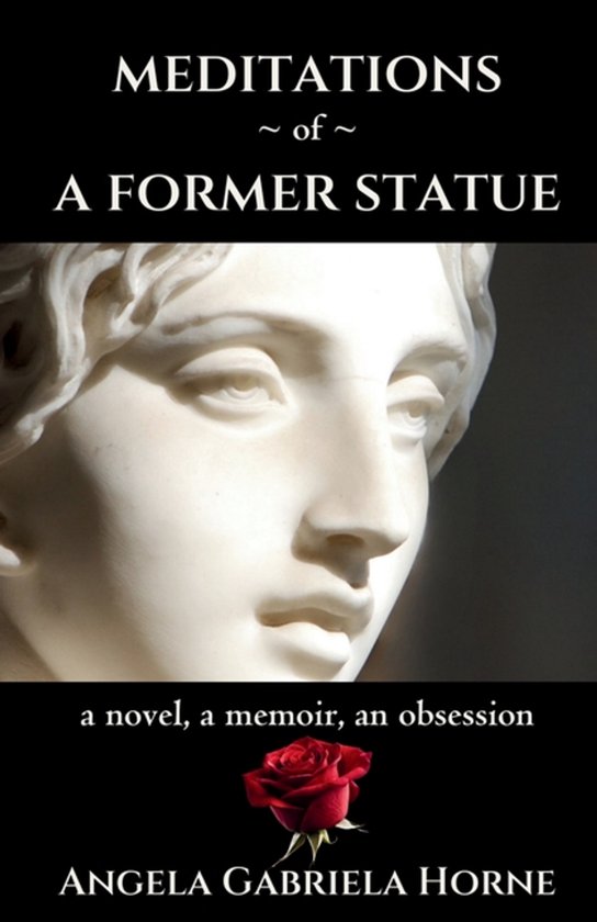 Meditations of a Former Statue - cover