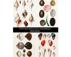 Vintage Molluscs and Shell Ephemera