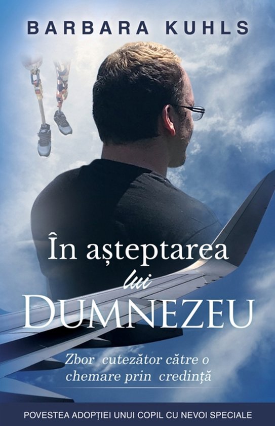 ÎN AȘTEPTAREA lui DUMNEZEU - cover