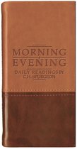 Morning & Evening