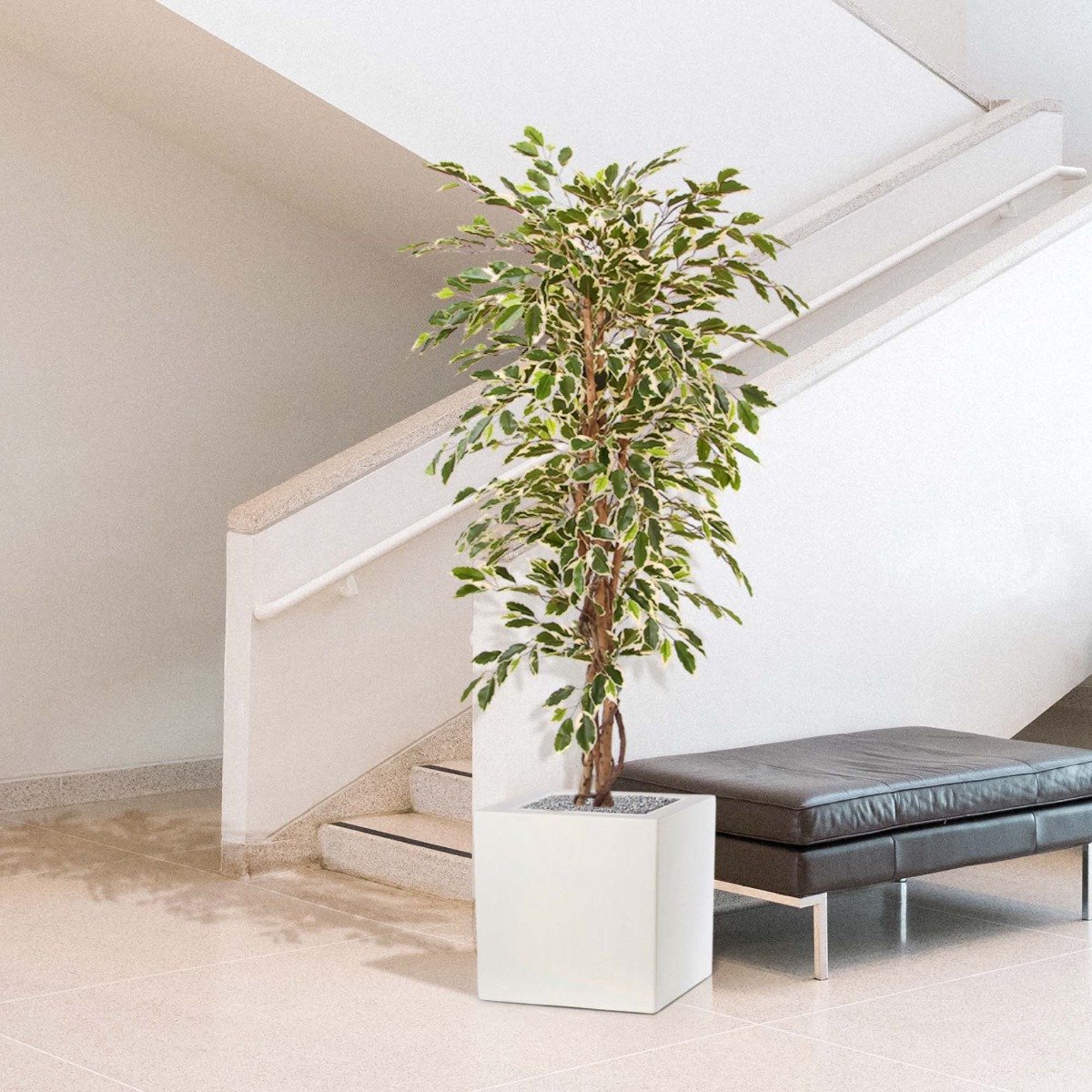 maxifleur Kunstplanten Ficus Hawai kunstboom 150cm Bont