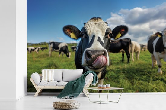 Behang - Fotobehang Koe - Tong - Weide - Breedte 330 cm x hoogte 220 cm