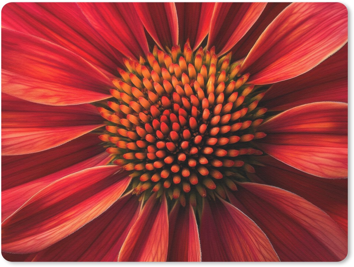 Muismat 23x19 cm - Mousepad Close up - Bloem- Rood - Muismatten