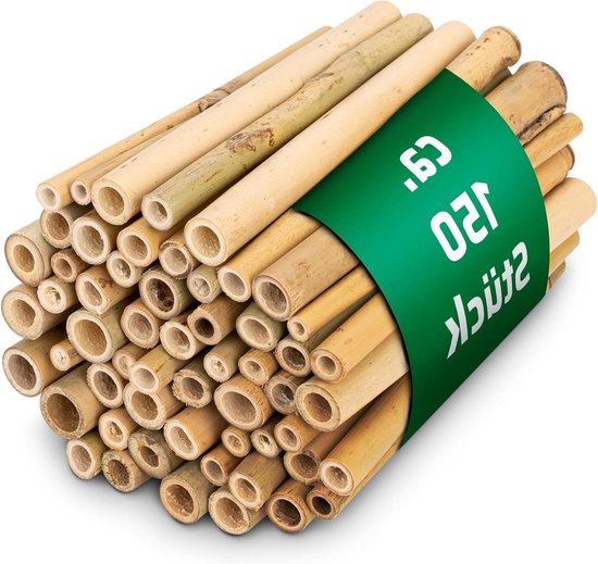 BEESI Bamboebuisjes voor insectenhotel, 14 cm lengte, bamboe voor bijenhotel, vulmateriaal, wilde bijen, accessoires (bamboe - stuk, 300