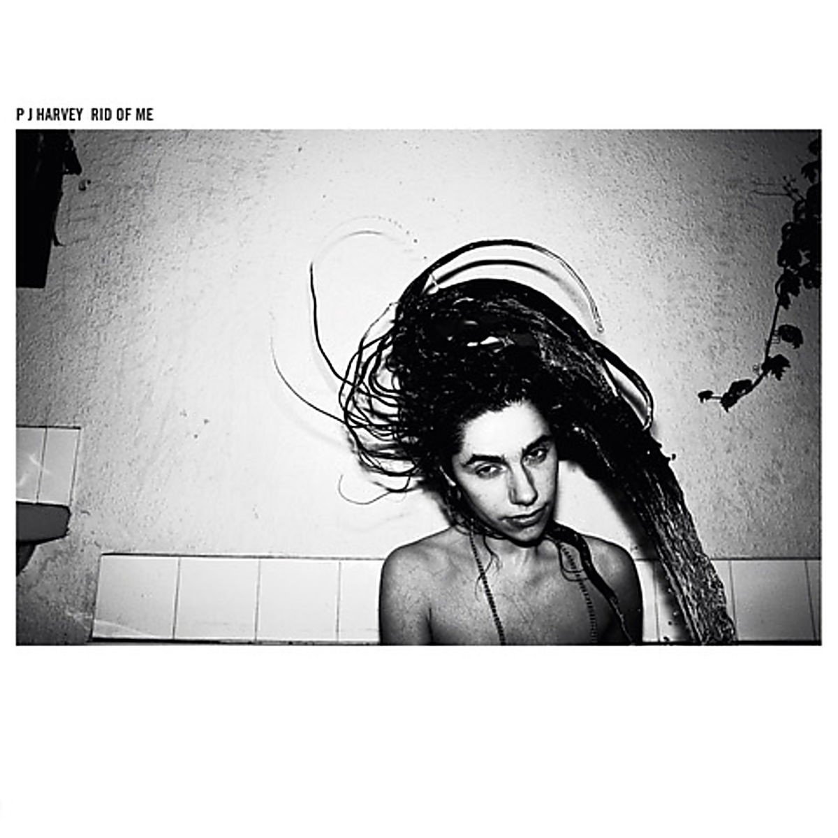 PJ Harvey - Rid Of Me (LP) (Reissue)