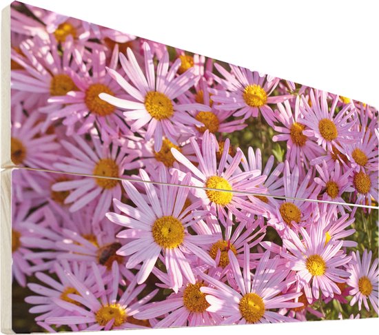 Wanddecoratie hout - Aster bloemen in een tuin - 120x80 cm