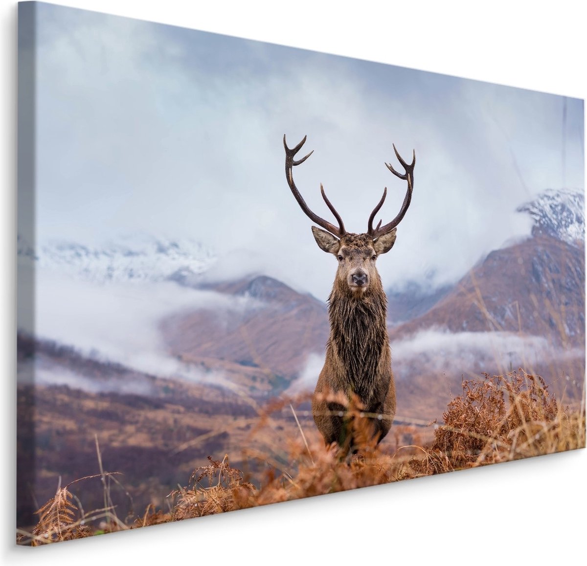 karo-art Schilderij - Hert in de besneeuwde Bergen, Premium print Multikleur