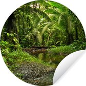 WallCircle - Muurstickers - Behangcirkel - Colombia - Jungle - Planten - 80x80 cm - Muurcirkel - Zelfklevend - Ronde Behangsticker