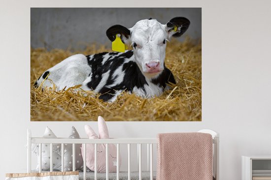 Sticker Muursticker Vache frisonne - Veau mignon de vache frisonne mensonges instro - 120x80 cm - film adhésif autocollant - sticker mural repositionnable