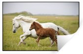Sticker Muursticker Paarden - Cheval et poulain qui courent - 120x80 cm - film autocollant - sticker mural repositionnable