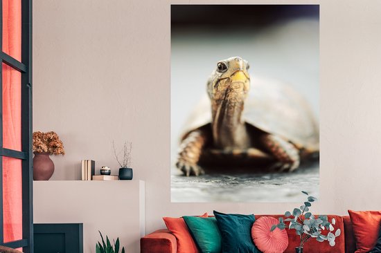 Poster Gros plan d'une petite tortue sur terre - 120x180 cm XXL - Décorations de Noël - Décoration de Noël pour intérieur - Noël