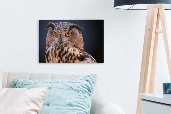 Peinture sur toile Un gros plan d'un hibou marron - 30x20 cm - Décoration murale Art