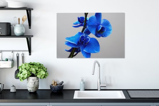 Tableau Peinture Orchidée Bleue - 90x60 cm - Décoration murale