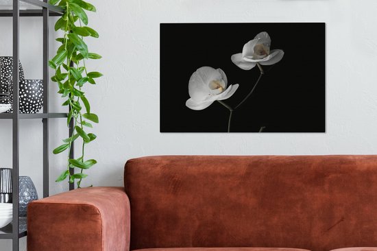 Tableau sur toile Orchidée - Fleurs - Zwart - Wit - Nature morte - 60x40 cm - Décoration murale