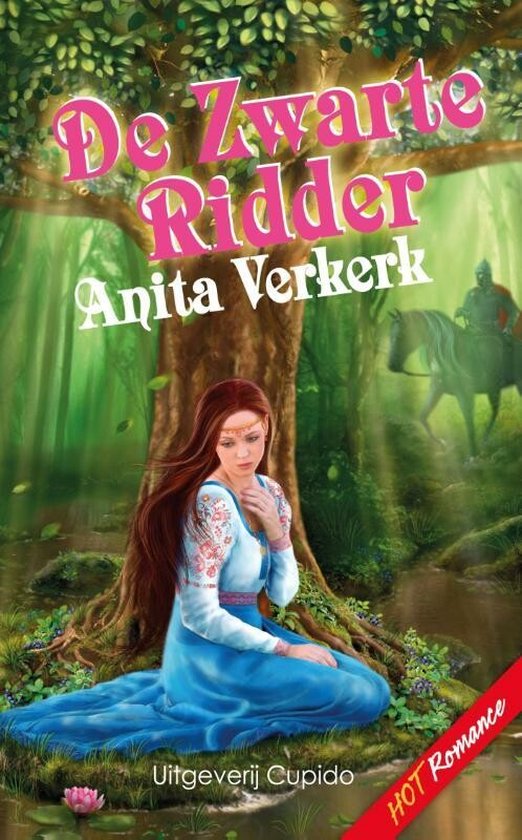Cover van het boek 'De zwarte ridder'