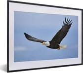 Cadre photo avec affiche - Pygargue à tête blanche - Aigle - Voler - Vogels - 40x30 cm - Cadre pour affiche