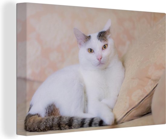Beau chat sur toile 120x80 cm - Tirage photo sur toile (Décoration murale salon / chambre) / Peintures sur toile Animaux