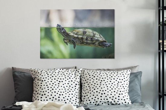 Photo en gros plan de toile de tortue 60x40 cm - Tirage photo sur toile peinture (Décoration murale salon / chambre) / Peintures sur toile Animaux