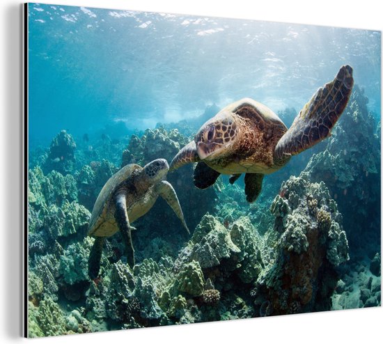 Wanddecoratie Metaal - Aluminium Schilderij Industrieel - Twee zeeschildpadden - 120x80 cm - Dibond - Foto op aluminium - Industriële muurdecoratie - Voor de woonkamer/slaapkamer