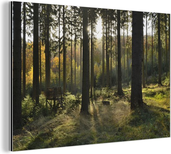 Wanddecoratie Metaal - Aluminium Schilderij Industrieel - Bos - Zomer - Zon - 120x80 cm - Dibond - Foto op aluminium - Industriële muurdecoratie - Voor de woonkamer/slaapkamer