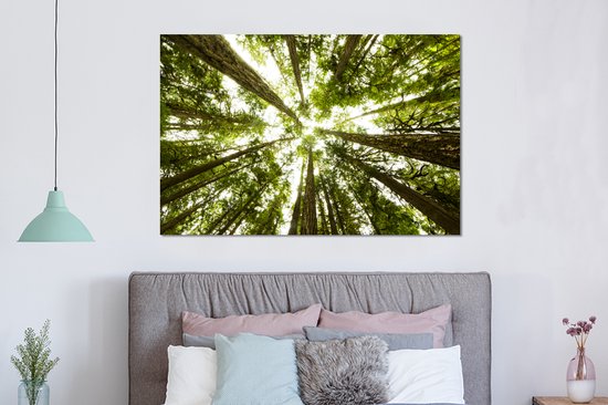 Wanddecoratie Metaal - Aluminium Schilderij Industrieel - Hoge groene bomen in jungle - 150x100 cm - Dibond - Foto op aluminium - Industriële muurdecoratie - Voor de woonkamer/slaapkamer