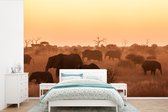 Behang - Fotobehang Wilde Afrikaanse olifanten van het nationaal park Kruger in Zuid-Afrika - Breedte 525 cm x hoogte 350 cm