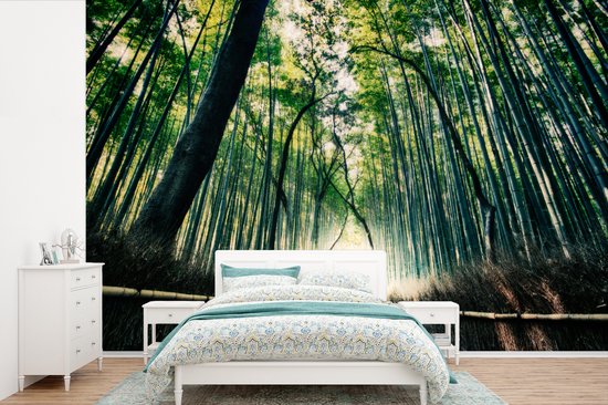 Papier peint photo en vinyle - Forêt de bambous à Arashiyama au Japon largeur 600 cm x hauteur 400 cm - Tirage photo sur papier peint (disponible en 7 tailles)