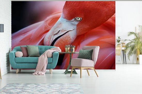 Papier peint photo peint vinyle - Gros plan d'un flamant rose largeur 330 cm x hauteur 220 cm - Tirage photo sur papier peint (disponible en 7 tailles)