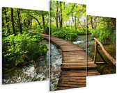Schilderij - Houten loopbrug in het bos, 3 luik, premium print