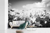 Papier Peint - Papier Papier peint photo Fleurs - Marguerite - Zwart - Wit - Largeur 420 cm x Hauteur 280 cm