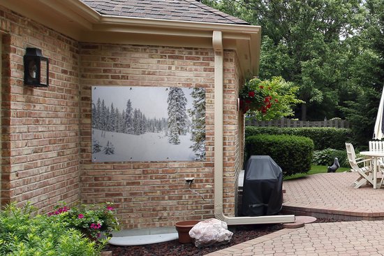 Affiche de jardin Les arbres qui poussent dans une forêt enneigée 120x80 cm - Toile de jardin / Toile d'extérieur / Peintures pour l'extérieur (décoration de jardin)