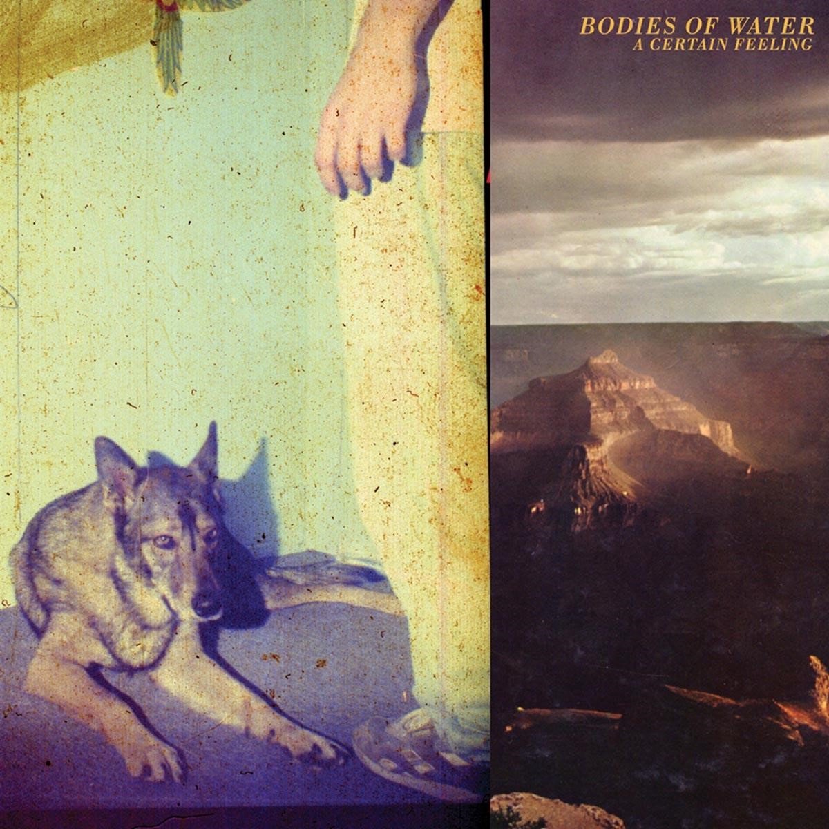Bodies Of Water - A Certain Feeling (CD)