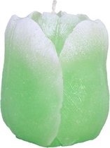 Groene tulp figuurkaars met tulpen geur 100/90 (35 uur)
