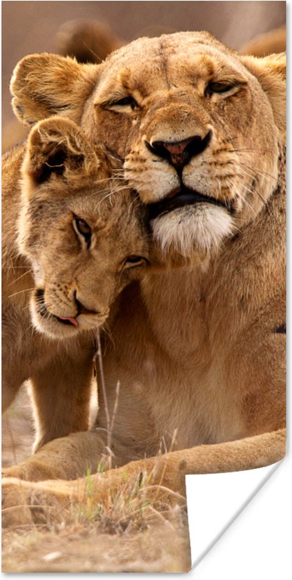 Affiche Lion - Animaux Sauvages - Cub - 60x120 cm