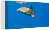 Canvas Schilderij Schildpad zwemmend in oceaan - 80x40 cm - Wanddecoratie
