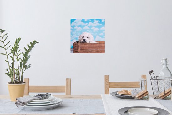 Stickers Stickers muraux - Chien maltais dans une caisse en bois - 30x30 cm - Film adhésif