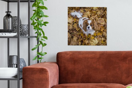 Cavalier King Charles Spaniel sous les feuilles d'automne Toile 50x50 cm - Tirage Photo sur Toile Peinture (Décoration murale Salon / Chambre) / Animaux domestiques Peintures sur Toile