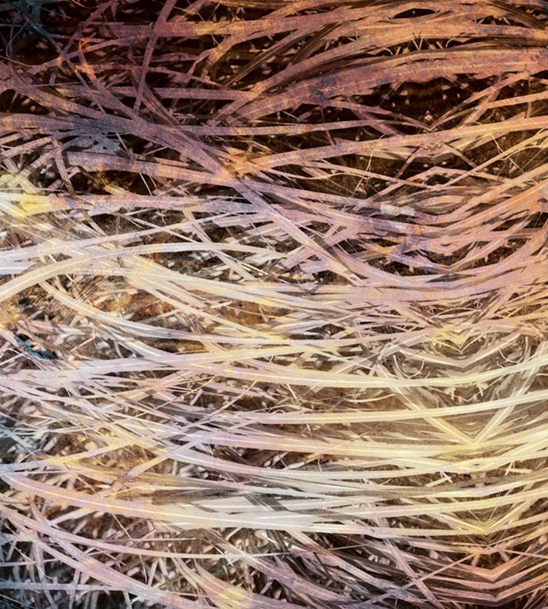 Fotobehang - Hay Abstract I 225x250cm - Vliesbehang