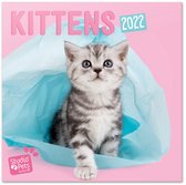 Grupo Erik Wandkalender 2022 Kittens 30 X 30 Cm Papier Roze