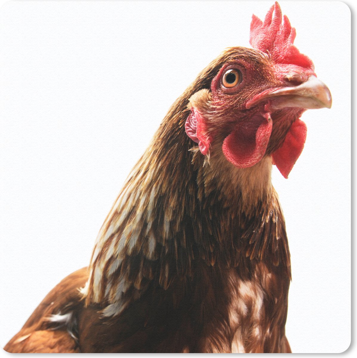 Muismat 30x30 cm - Mousepad Haan - Boerderijdieren - Veren - Muismatten