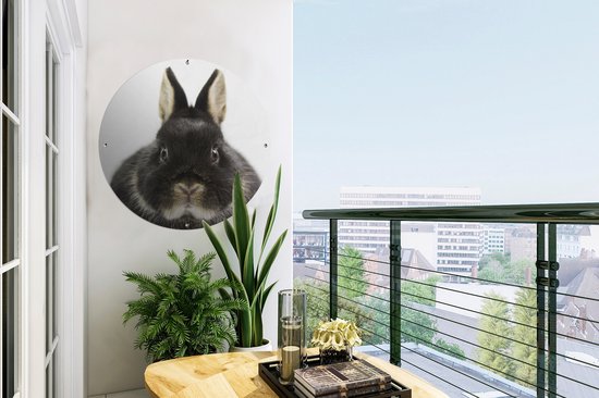 Garden Circle Lapin - Animaux domestiques - Fourrure - 60x60 cm - Affiche de Jardin Ronde - Extérieur