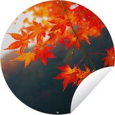 Garden Circle Feuilles d'Automne au Japon - 150x150 cm - Poster de Jardin