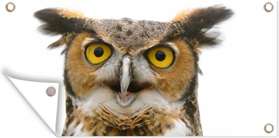Affiche clôture Hibou - Vogel - Portrait - 200x100 cm - Toile de jardin