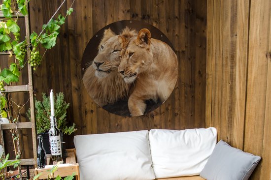 Tuincirkel Leeuwen - Bruin - Dieren - 90x90 cm - Ronde Tuinposter - Buiten