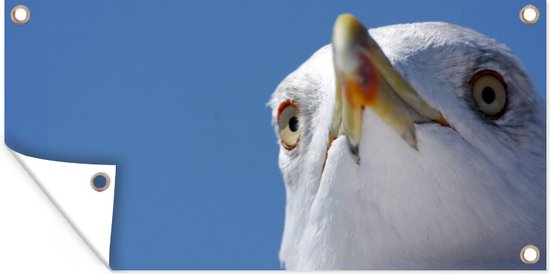Décoration Murale Extérieur Mouette - Istanbul - Architecture - 80x160 Cm - Toile De