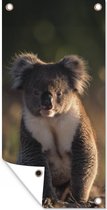Tuinposter Koala - Zon - Dier - Kinderen - Jongens - Meisjes - 30x60 cm - Tuindoek - Buitenposter